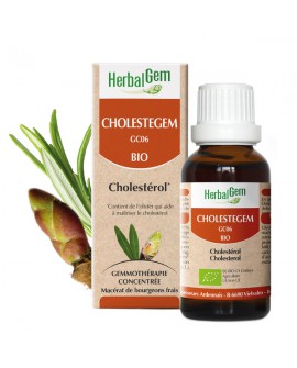 CHOLESTEGEM - Complexe cholestérol BIO de HERBALGEM