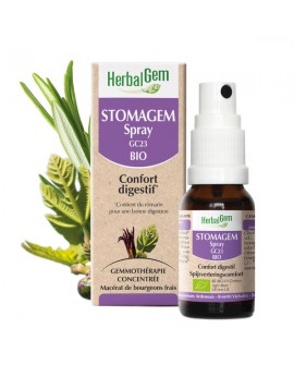 STOMAGEM Spray 15 ml - Complexe confort digestif BIO de HERBALGEM