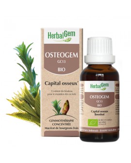OSTEOGEM - Complexe capital osseux BIO de HERBALGEM