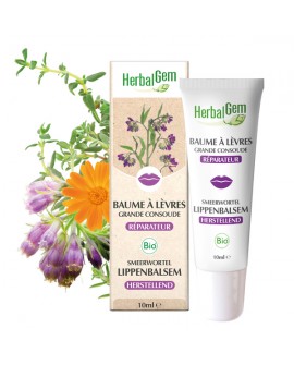 Baume à lèvres grande consoude bio de Herbalgem