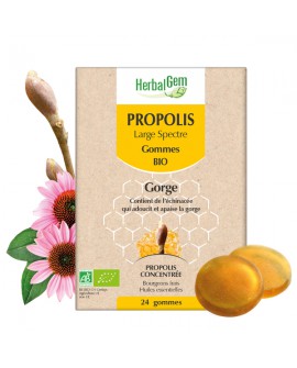 PROPOLIS Large Spectre - Gommes BIO de HERBALGEM