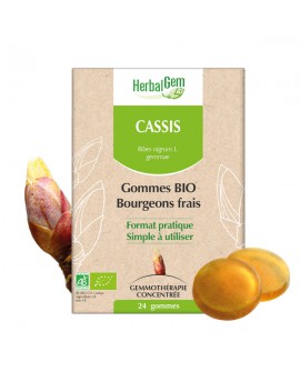 Cassis Gommes Bio Bourgeons frais de Herbalgem