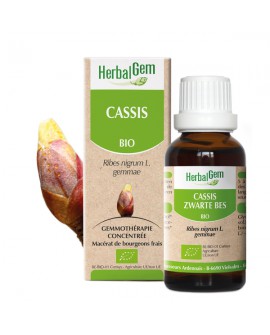 Herbalgem Cassis BIO 30ml