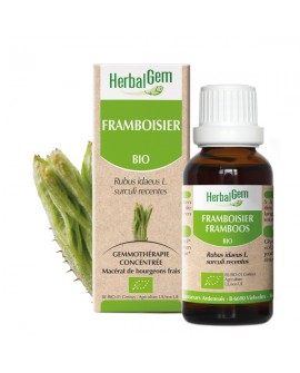 FRAMBOISIER BIO de HERBALGEM