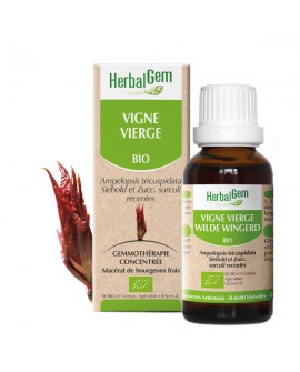 VIGNE VIERGE BIO de HERBALGEM