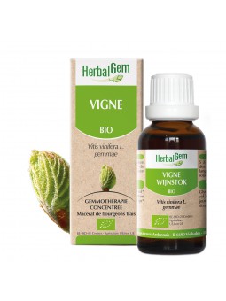 Viorne BIO 50 ml de Herbalgem
