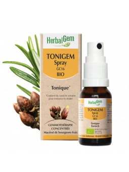 copy of TONIGEM - Complexe...