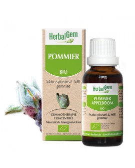 POMMIER BIO de HERBALGEM
