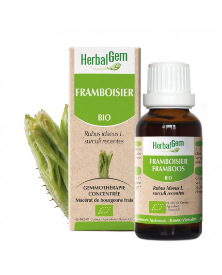 FRAMBOISIER BIO de HERBALGEM
