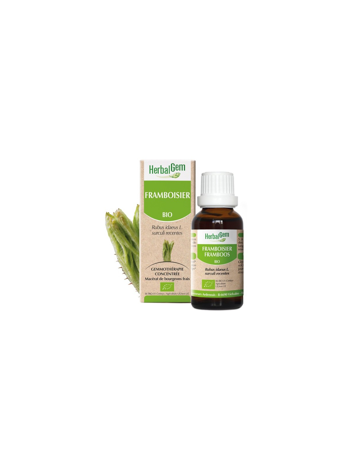 FRAMBOISIER BIO de HERBALGEM