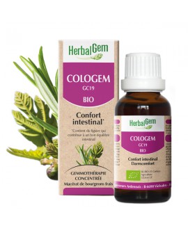 COLOGEM - Complexe confort intestinal BIO de HERBALGEM