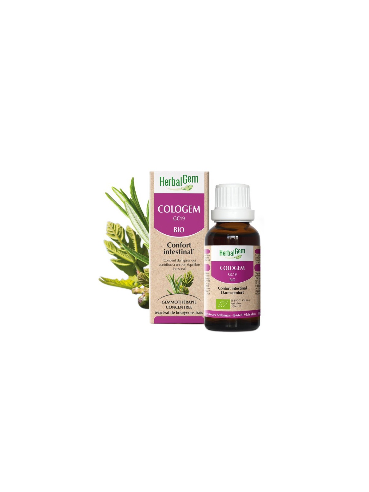 COLOGEM - Complexe confort intestinal BIO de HERBALGEM