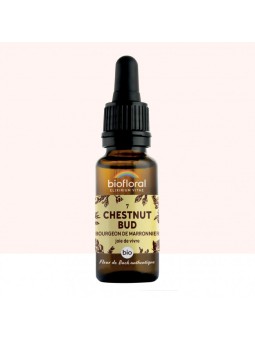 N°7 CHESTNUT BUD / Bourgeon...