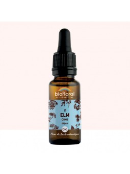 N°11 ELM / Orme BIO de...