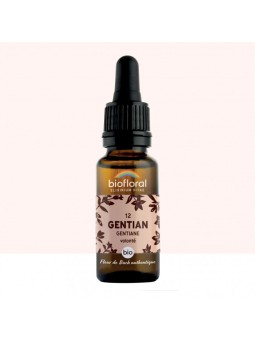 N°12 GENTIAN / Gentiane BIO...