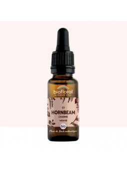 N°17 HORNBEAM / Charme BIO...