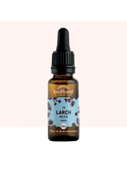 N°19 LARCH / Mélèze BIO de...