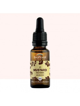 N°21 MUSTARD / Moutarde BIO...