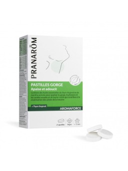 copy of Pastilles...