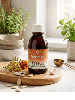 Verm'sil BIO - VECTEUR ENERGY