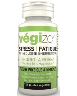 Végizen STRESS, FATIGUE  120 gélules de LT labo