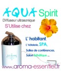 Aqua spirit micro diffuseur pour huiles essentielles