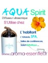 Aqua spirit micro diffuseur pour huiles essentielles