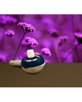 Car Arome, Diffuseur d'huiles essentielles pour voiture de Gravier