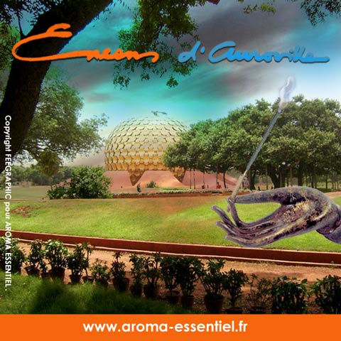 Encens d'auroville naturel aux huiles essentielles. Encens d'auroville naturel aux huiles essentielles.