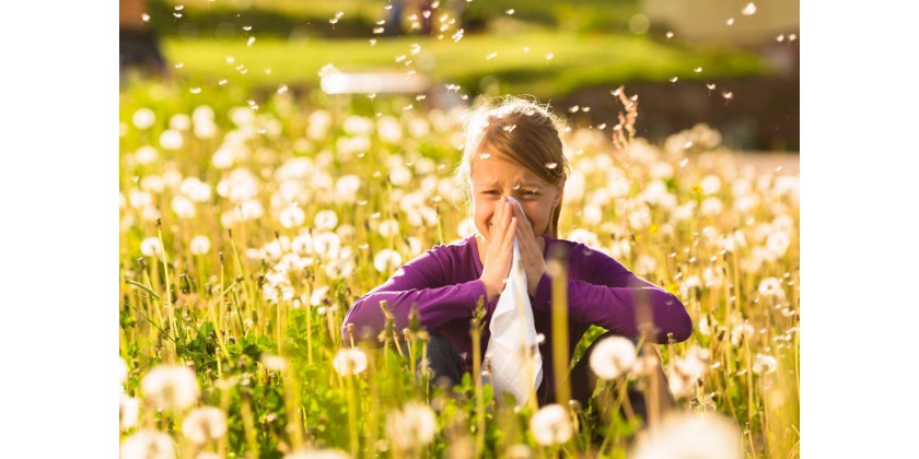 Allergies saisonnières : nos solutions naturelles et bio 