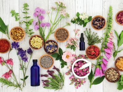 Qu’est-ce que l'aromathérapie ? Définition et éléments clés !